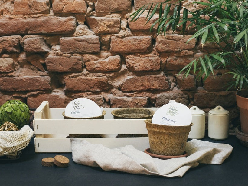 Green Box - L'Arca delle Farfalle