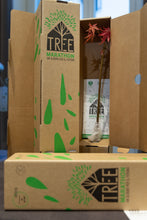 ACERO Tree Marathon + vaso unico di Terra Verde