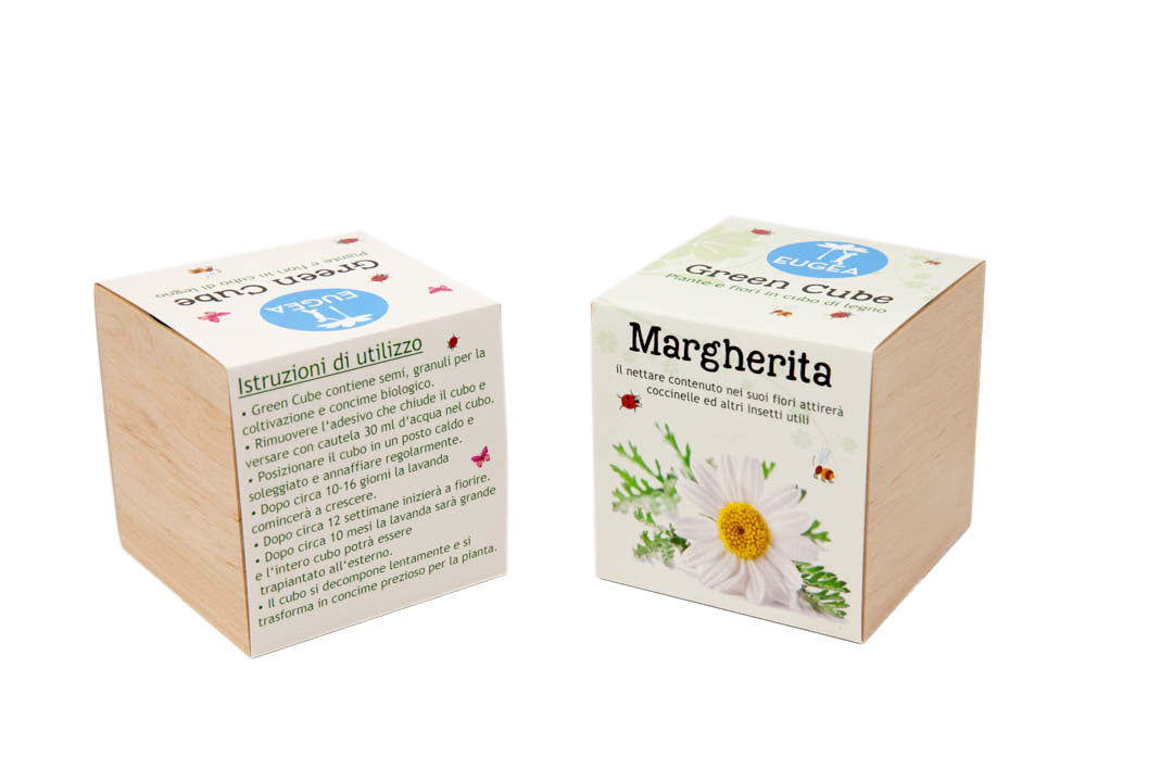 GREEN CUBE - MARGHERITA, piante e fiori in cubi di legno