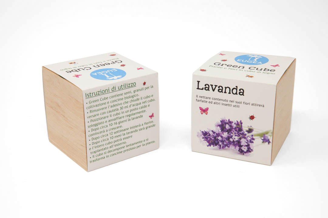 GREEN CUBE - LAVANDA, piante e fiori in cubi di legno