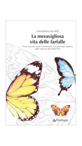 La Meravigliosa Vita delle Farfalle (libro)