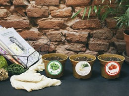 Il Tricolorto  - Kit per coltivare in casa basilico, cipollotto e pomodoro. Con ricette tipiche